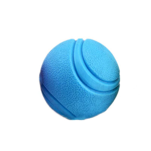 High Quality Custom Pet Dog Tennis Ball Toys - Blue